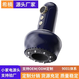 卷发/直发器;冲牙器;其他按摩器材