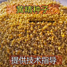 �S���N���ļ�ș�ķNֲ�̨ͥԺ�����������粥�N�N��