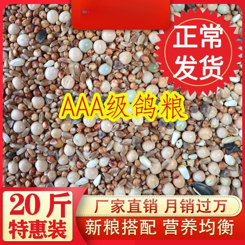 Пища голубя без кукурузы Пища голубя Молодые голуби