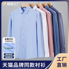 兰精莫代尔新款男士无痕免烫长袖衬衫抗皱高端商务职业面试衬衣男