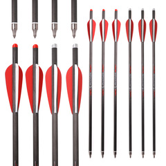 ACC純碳7.6/8.8mm弓箭射擊箭支弩箭運動弓箭13/16/17/20英寸