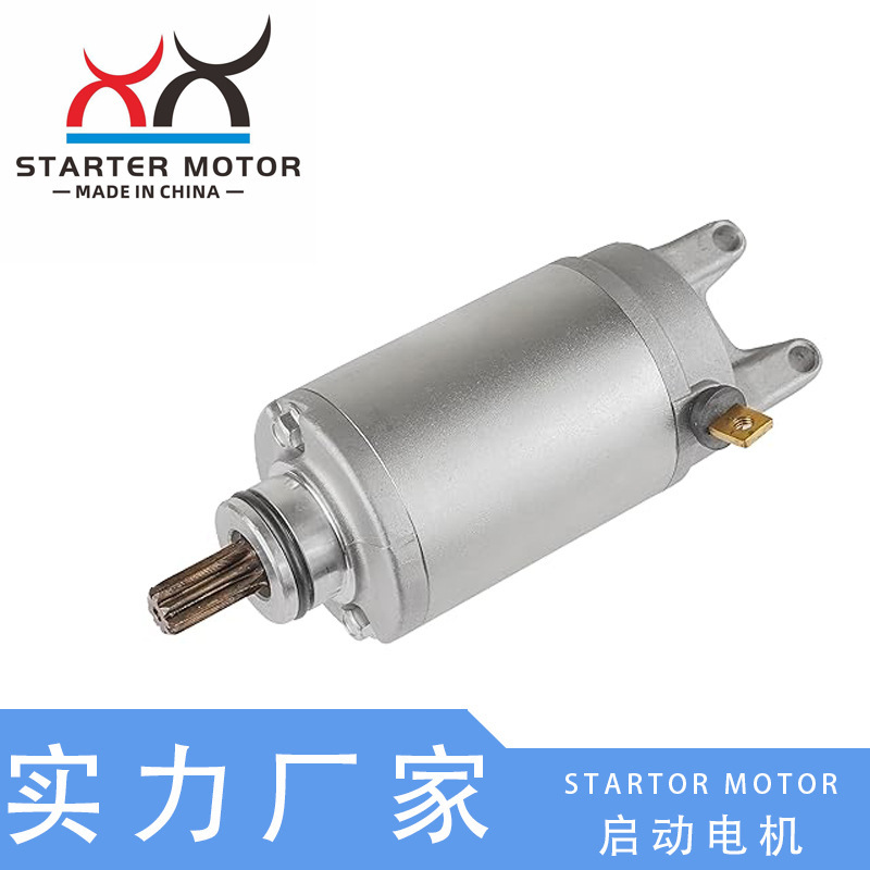 31100-10D00 Motorcycle Starting Motor Motor Suitable for Suzuki Gsf400 Gsf600 750 31100-10D00 Motorcycle Starting Motor Motor Suitable for Suzuki Gsf400 Gsf600 750