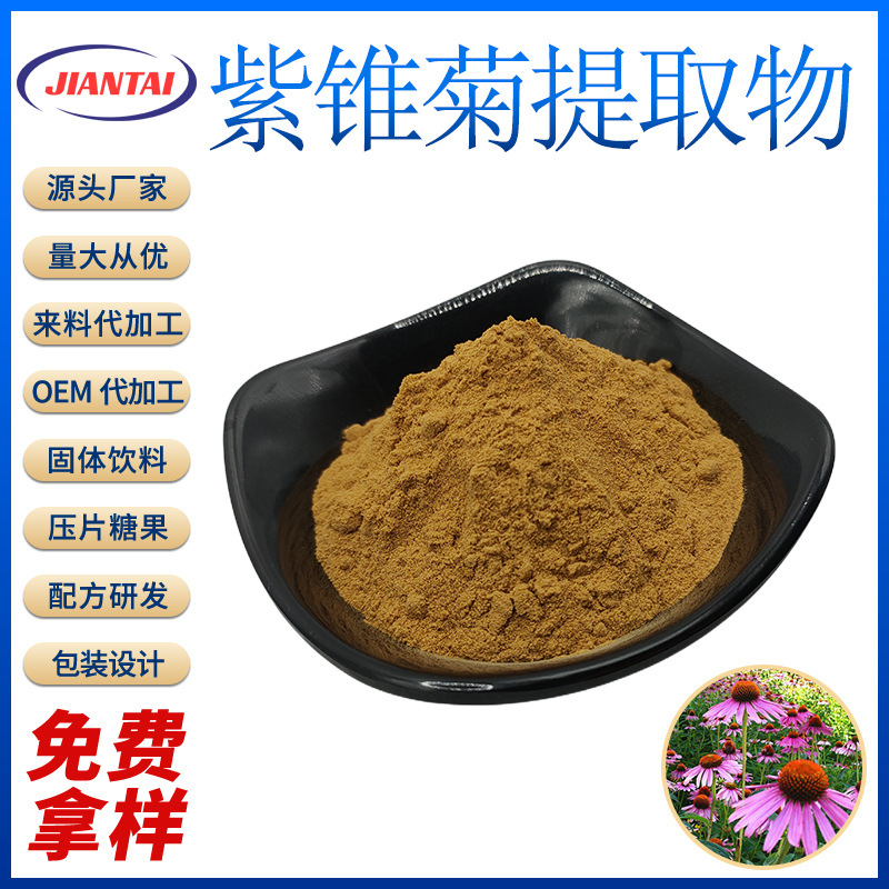 紫锥菊提取物10:1  紫雏菊萃取粉 水溶性 厂家直发 量大从优