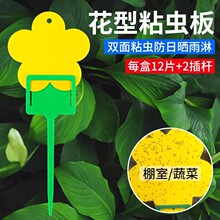 ճ�x���x���E�R�����p����x�S�{�T�x��С���wճ�x���ļ��҃Ȍ���