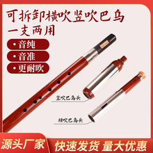 �¼tľ�͞������Q���ɲ�͞����J�z�������崵�Ҙ����l�ɹ��M��