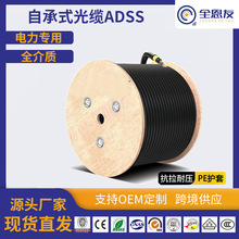 ADSS���|����ܿՆ�ģ��ģ���w��100���6-96о������ù��w