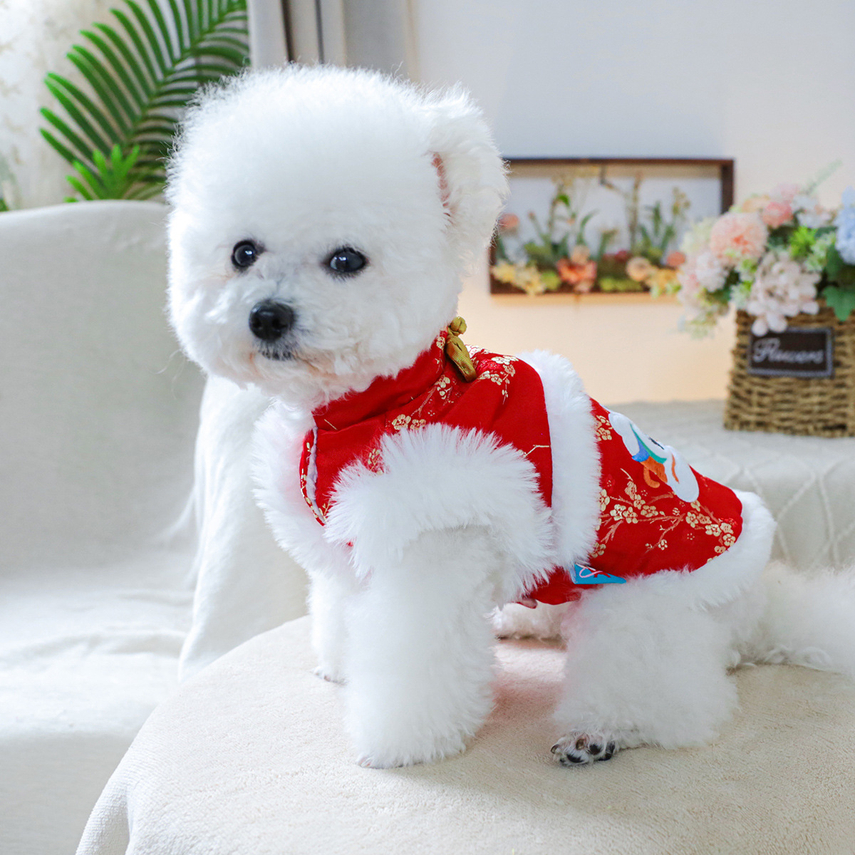 PTECIRCLE 애완 동물 서클 [재고 공장 직접 공급] 개 고양이 의류 의류 HUZI 새해 면 패딩 코트