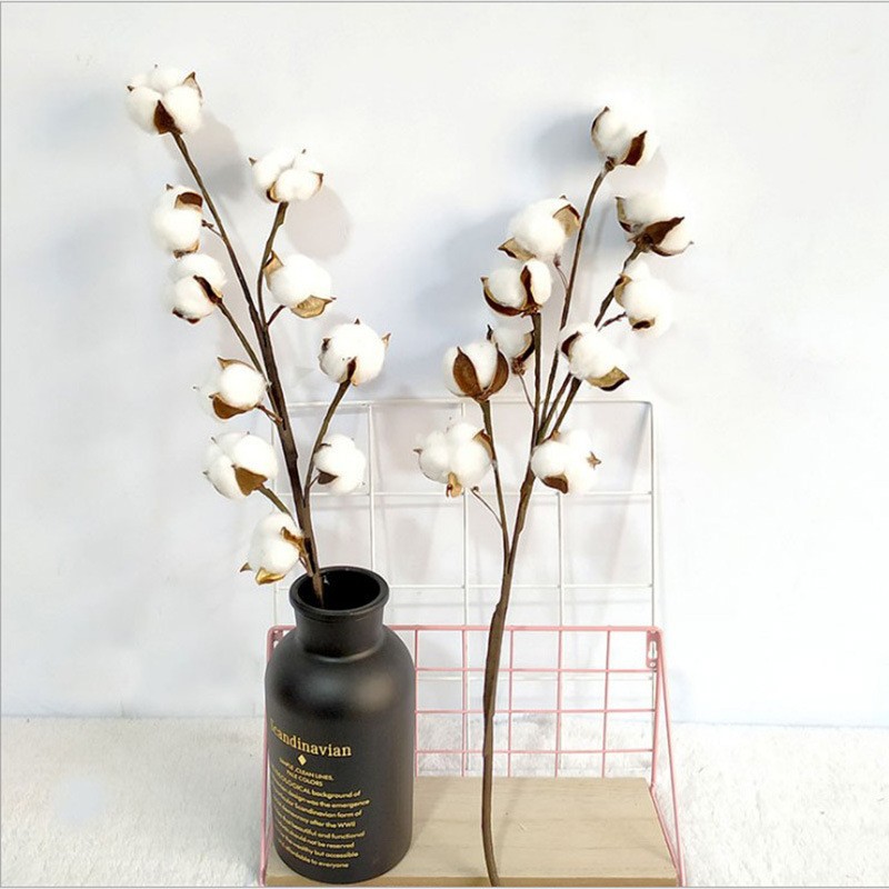 家居棉花10頭棉花乾花仿真自然乾花長樹枝客廳婚禮裝飾品跨境採購