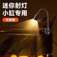 l׃ɫr~~쾰ˮ~ןԭןS