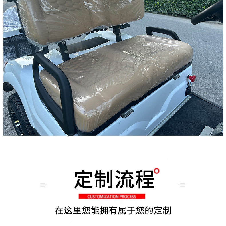 Multifunctional Electric Golf Cart Sand Bucket Ball Washer Insulated Box Rain Curtain Golf Cart for Golf Course