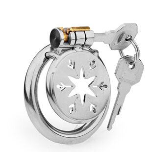 Factory Source Chastity Lock Chastity Lock Chastity Lock Stainless Steel Men's Flat Snowflake Star Chastity Lock Anti-escape