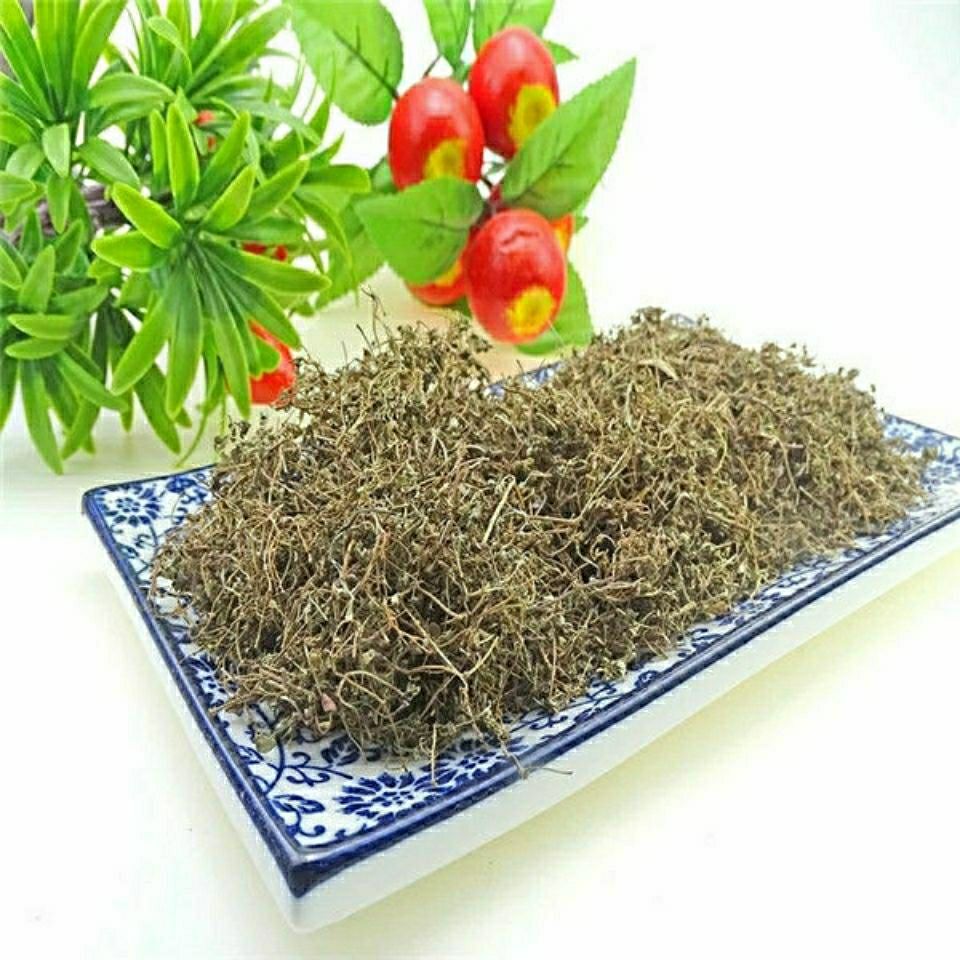 Dried Euphorbia Humifusa Di Jin Cao 500g Sliced Creeping Euphorbia Herb for Traditional Decoctions overview