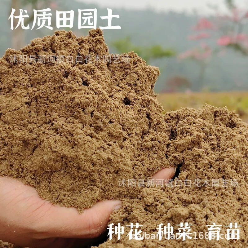 Природная идиллическая почва для выращивания песка и почвы для выращивания лесса