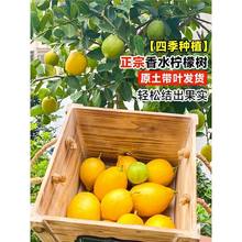 ˮʘV|oѼ޽ԵļYʳ̨ڹ