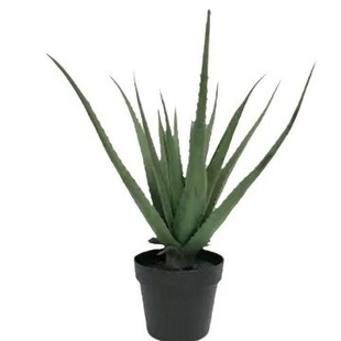 ���������m �����J�C����  ����Gֲ �ʹ��m�҃��쾰�Ӽ��b��辰