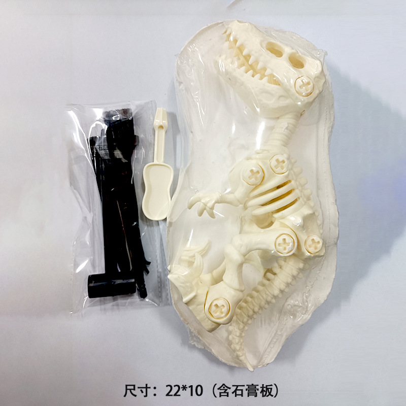 알몸 벨로시 랩터의 고고학 석고