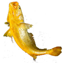 ���r�����r��������|�O�u���S���~�S�~���r�����؛���rˮ�a��