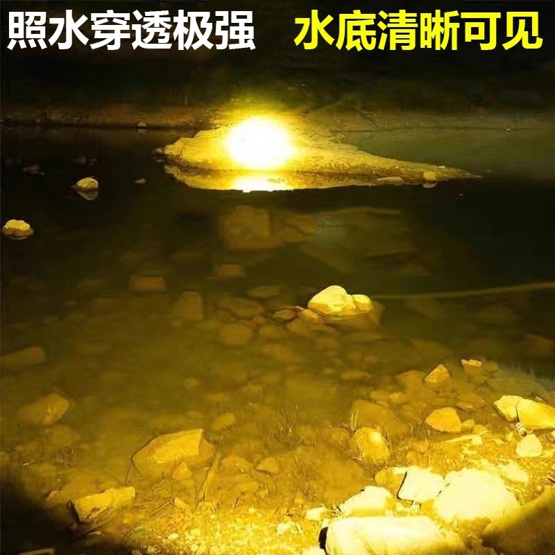 e47eb475-3c88-479f-95d7-4e48c6cec2b4.jpe