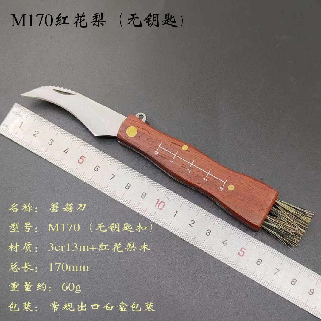 微信图片_20241123183522副本