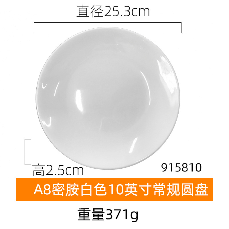 10inch 일반 디스크
