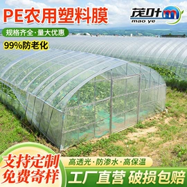 功能薄膜;包装薄膜;其他塑料薄膜