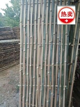 建筑工地施工脚手笆围栏片毛竹片工程芭工地板楠竹脚手架竹架竹搭