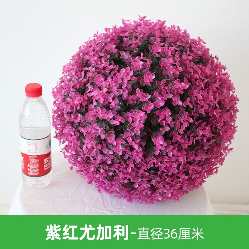 자홍색 유칼립투스 잔디 공-직경 36cm