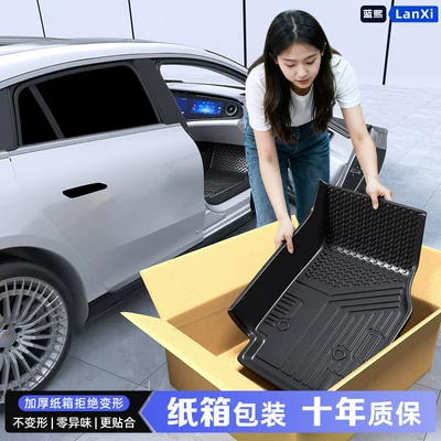 Frontlander, Weihan, Rav4, Camry, Trunk Mat - heres-an-exclusive-set-of-premium-floor-mats-toyota-frontlander