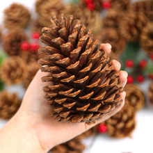 ��Ȼ�ɹ��}�Q���b��Ұ��ԭɫ�����׃��@�ֹ�����diy�h������