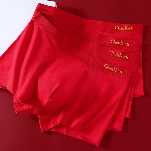 Red Underwear for Men in the Year of the Dragon, Mid-Thigh Square-Neck Boxer Briefs Set
