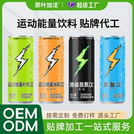 果蔬汁;功能饮料;微生物发酵