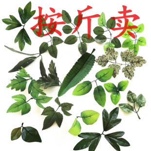 �����u�Gɫõ�廨�~�ӷ���ĵ�����ֹ��z�W���������ϼٻ��~����~