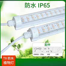 ȫ���V����led��̫ꖹ�ֲ�����L������ɫ�Gֲ������������