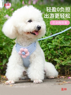 Chain Walking Dog Leash Dog Leash Vest Small Dog Bitter Bear Teddy Dog Bome Chest Strap Young Dog Kitten