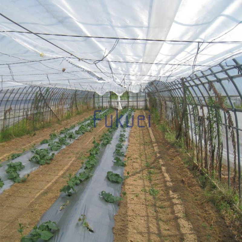Malla agrícola de protección solar sombrilla neta aislamiento blanco al aire libre invernadero sombra tela sombrilla neta al por mayor