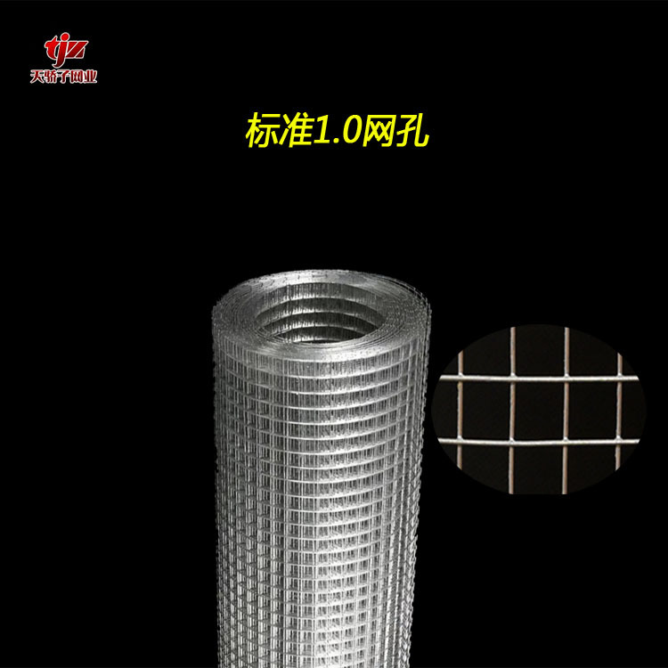 钢丝热镀锌电焊网建筑内外墙抹灰网铁丝网焊接防护网镀锌网格