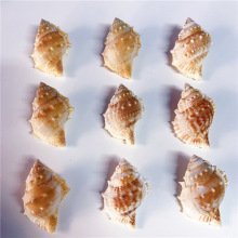 ����ؐ����ˇƷ�ľ�з�����~�Ҿӵ�̨�~���쾰�b�ƷС�[��������