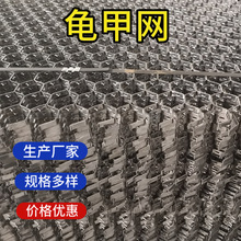 ̼����׾W�_�����r���^���P����׾WƬ�ͻ��͸ߜ�ʩ��304䓰�W