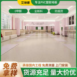 舞蹈地胶地垫健身房pvc专业专用教室橡塑胶地板革室内幼儿园运动