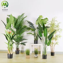 �٘�S��ֱ�N�������ӾGֲ�����b��÷������˽��辰�����[��