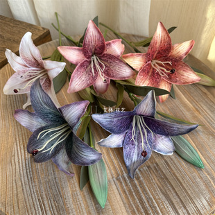 2�^3D��ٺ���������Ͱ���� ���滨�͹ŚWʽ�����{��ɫ�ͮ��ٺϻ�