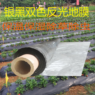 Silver and Black Mulch Film, Two-Color Reflective Weed Removal Mulch Film, Agricultural Black and White Mulch Film, Thermal Insulation and Moisturizing Film, Orchard Vegetable Greenhouse