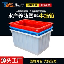 塑料牛筋方箱家用白色食品级PP养鱼箱养龟箱周转水箱水产运输方箱