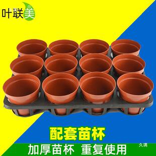 ���D�����бPѨ�P���籭���⻨���бP�傀�������m�мܠI�B���b��