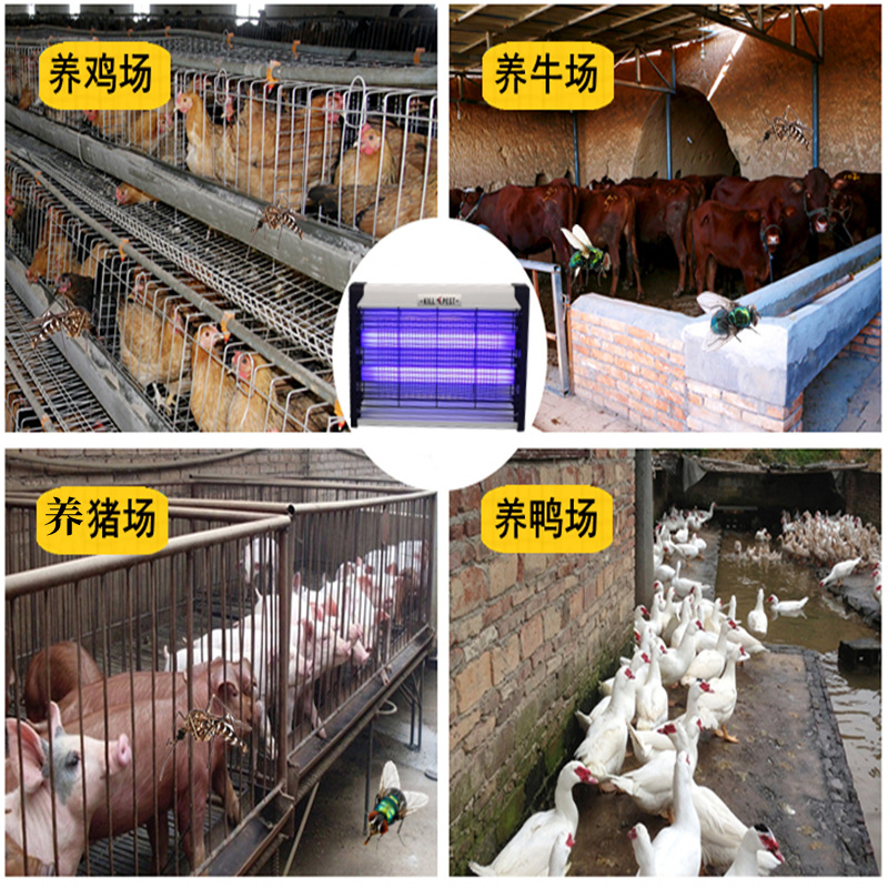 灭蚊灯适用场所1