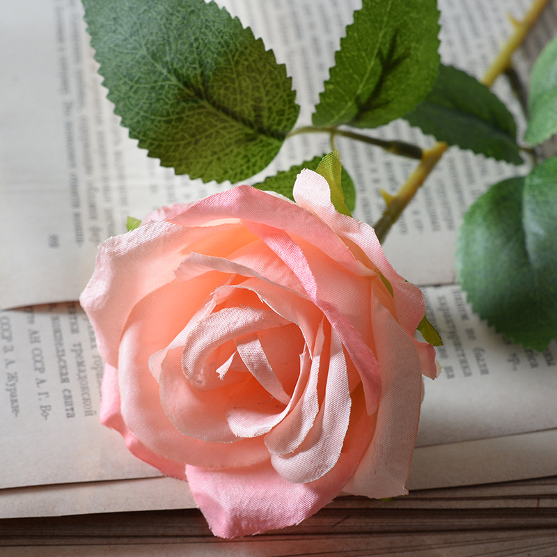 Pink champagne (silk cloth)