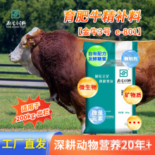 鼎圣育肥牛精补料均衡营养适合长骨架期厂家直销肉牛羊饲料