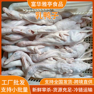 �������r�F���F�������Ƙ������Bֳ��ɢ�B�����Ӳ�������l