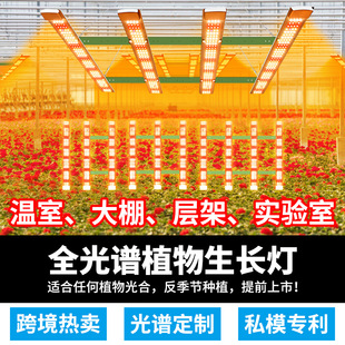 LED plant growth lamp greenhouse full spectrum seedling octopus plant lamp vegetable fruit plant fill light