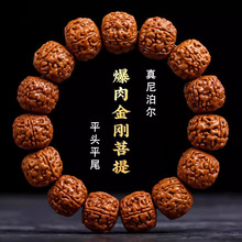 正宗满肉大金刚菩提子男女手串精品原籽文玩佛珠把玩盘玩沉水级